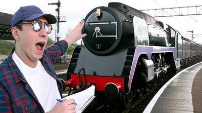 Hình ảnh minh họa copt - Ảnh 1