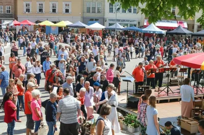 Illustration fairs - Image 1