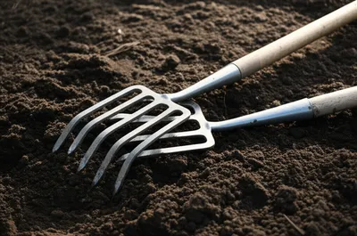 Illustration forking - Image 1