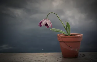 Illustration depressing