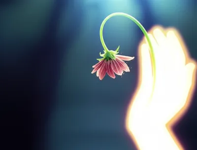 Illustration reliever - Image 1