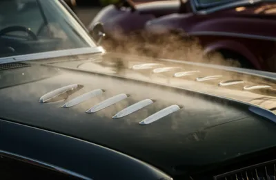 Illustration lover - Image 1