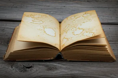 Illustration foxed - Image 1