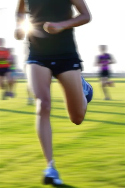 Illustration spur - Image 1