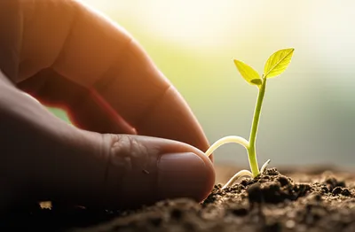 Illustration pusher - Image 1