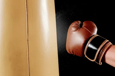 Illustration leathers - Image 1