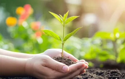 Illustration knowledge - Image 1