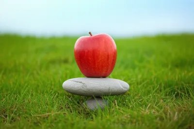 Illustration centered