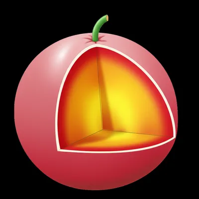 Illustration distend - Image 1