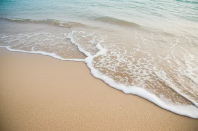 Illustration lapped - Image 1