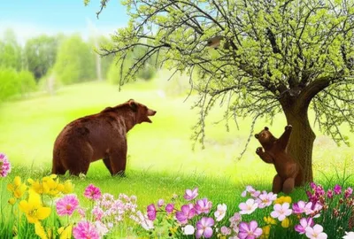 Illustration spring - Image 1