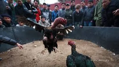 Illustration pit - Image 2