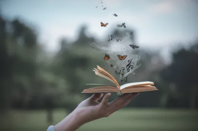 Illustration volume - Image 1