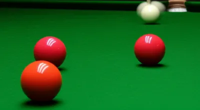 Illustration plant - Image 1