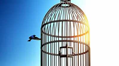 Illustration enlarged - Image 1