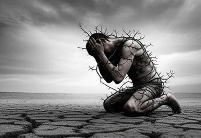 Illustration bale - Image 1