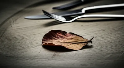 Illustration fast - Image 1