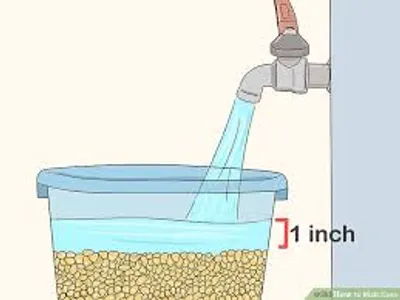 Illustration liquor - Image 2