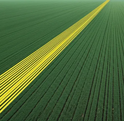 Illustration ac - Image 1