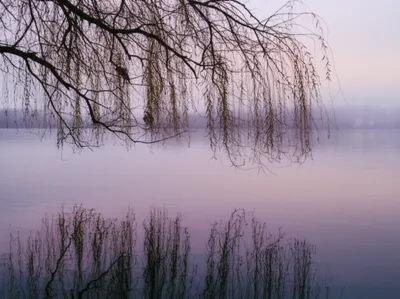 Illustration stilling - Image 1