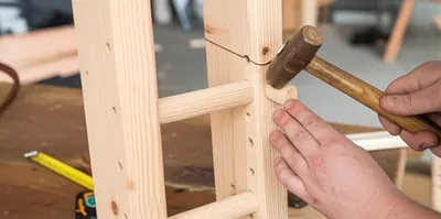 Illustration stales - Image 1