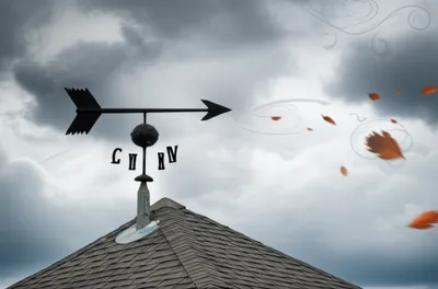 Illustration veer - Image 1