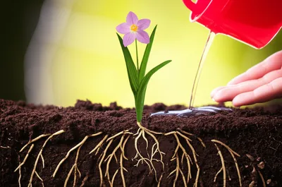 Illustration formative - Image 1