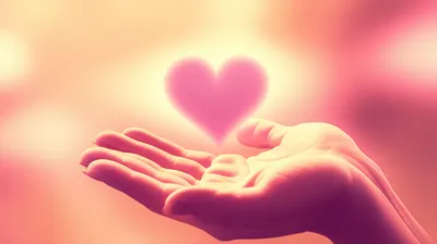 Illustration adoption - Image 1