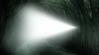 Illustration discernment - Image 1