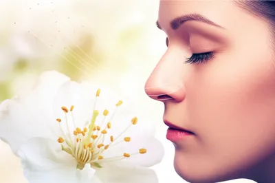 Illustration scent - Image 1