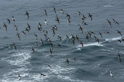 Illustration crew - Image 1