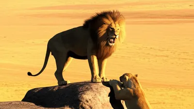 Illustration defends - Image 1