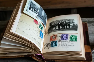 Illustration alba - Image 1