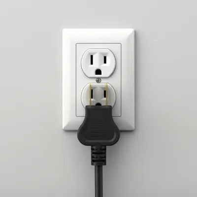 Hình ảnh minh họa receptacle - Ảnh 1