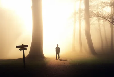 Illustration agnostic - Image 1