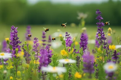 Illustration bumming - Image 1