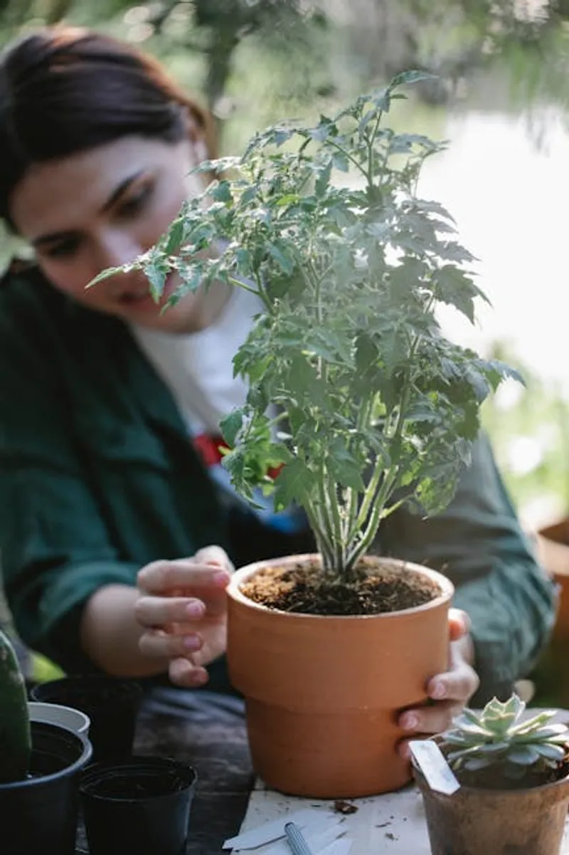 Ilustración visual de transplants: Trasplante - Imagen 2