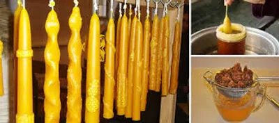 Illustration dip - Image 2