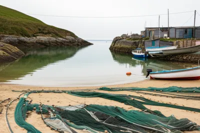 Illustration sta - Image 1