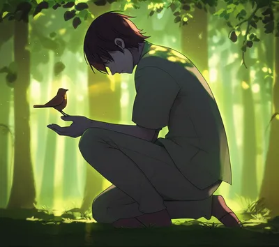 Illustration expiation