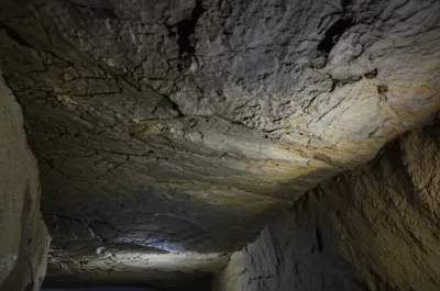 Illustration backs - Image 1