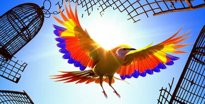 Illustration frees - Image 1