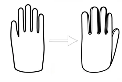 Hình ảnh minh họa reverse - Ảnh 1