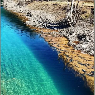 Illustration pollutes - Image 1