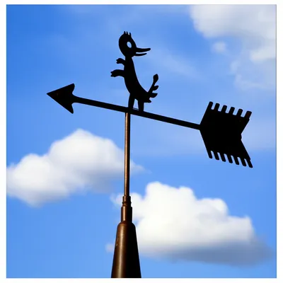 Illustration cocks - Image 1