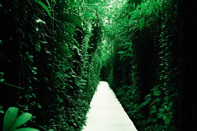 Illustration aisles - Image 1