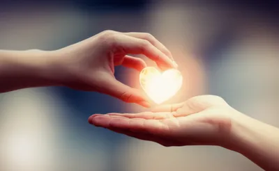 Illustration communicated - Image 1