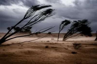Illustration windstorms