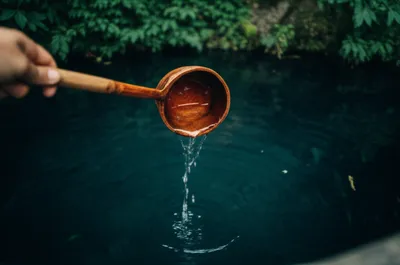 Illustration dips - Image 1