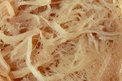 Illustration footings - Image 1